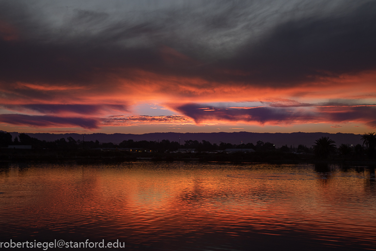 palo alto baylands